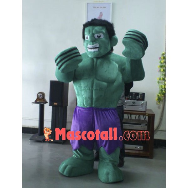 Hulk The Avengers Mascot Costumes