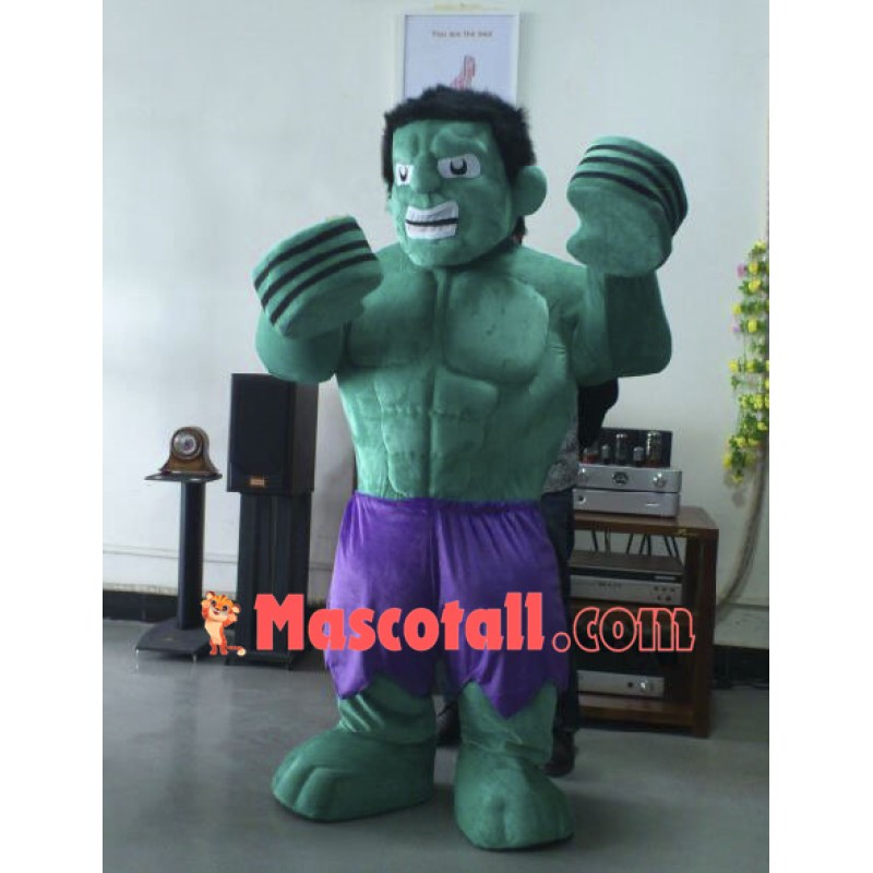 Hulk The Avengers Mascot Costumes