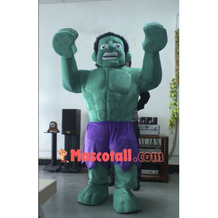 Hulk The Avengers Mascot Costumes