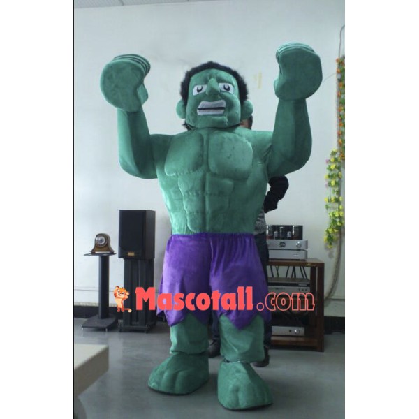 Hulk The Avengers Mascot Costumes