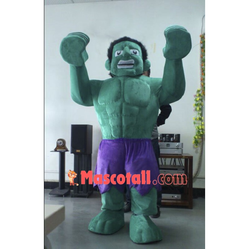 Hulk The Avengers Mascot Costumes