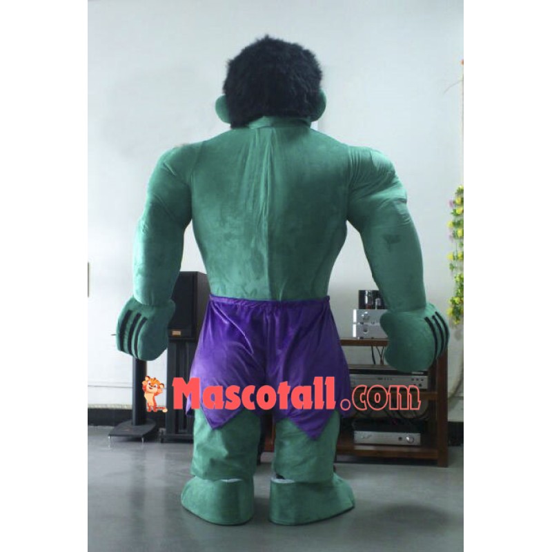 Hulk The Avengers Mascot Costumes
