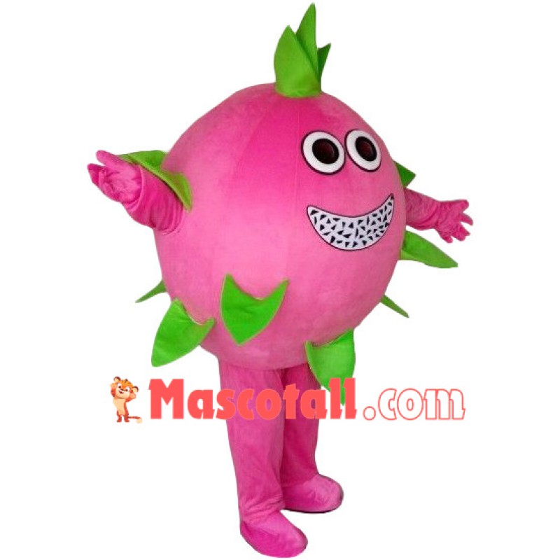 Pitaya Mascot Costume