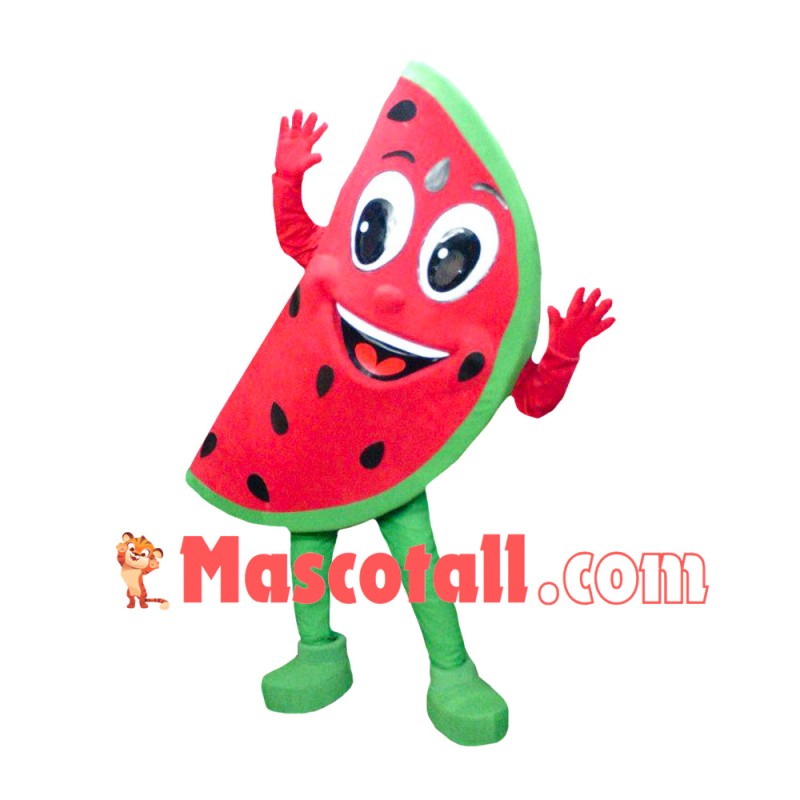 Watermelon Mascot Costume