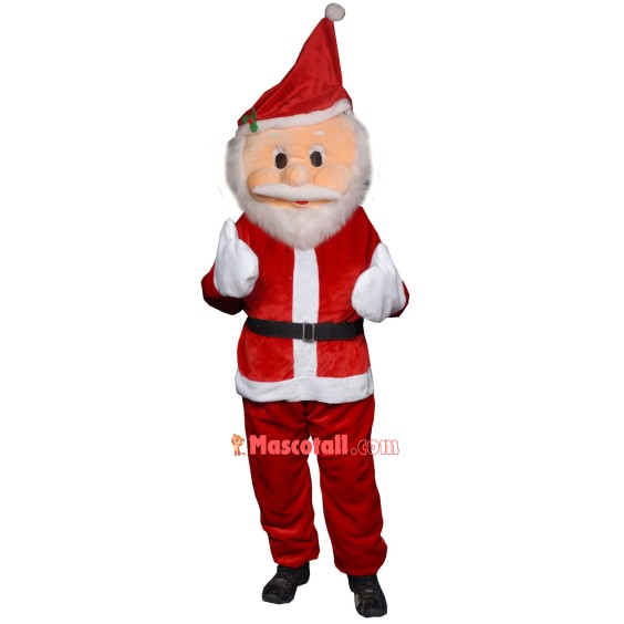 Santa Cartoon Mascot Costume