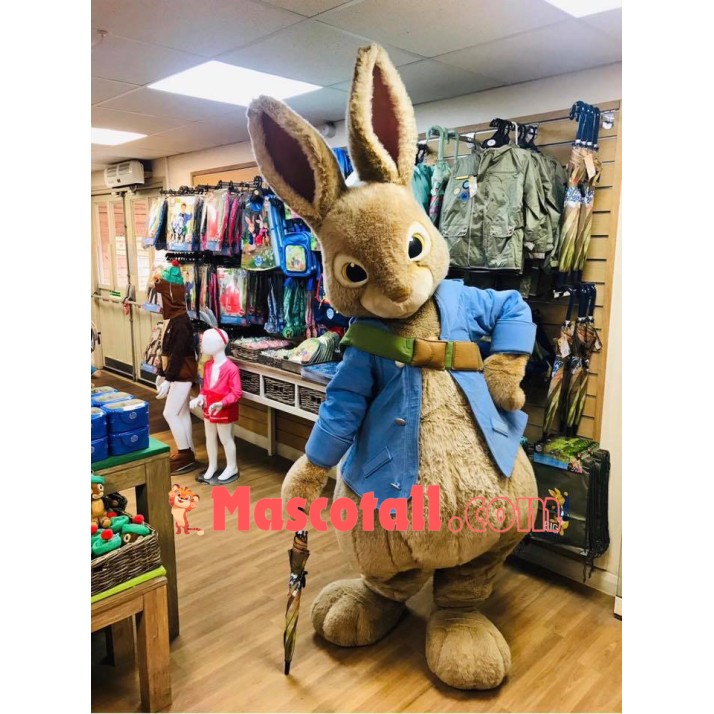 Friendly Lightweight Peter Rabbit Mascot Costume