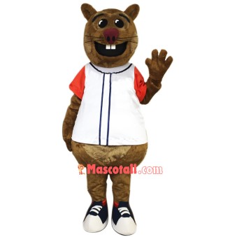 Cheap Squirrel Mascot Costume