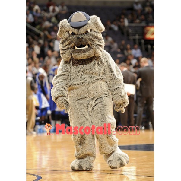 School Bulldog Mascot Costume