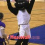College Black Panther Mascot Costume