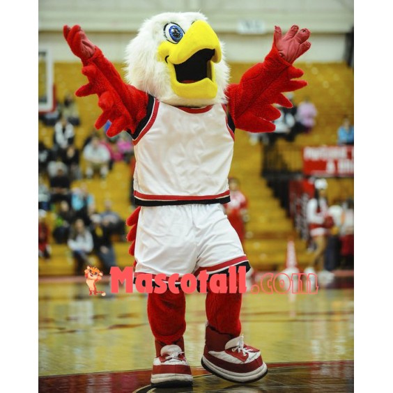 College Hawks Mascot Costume