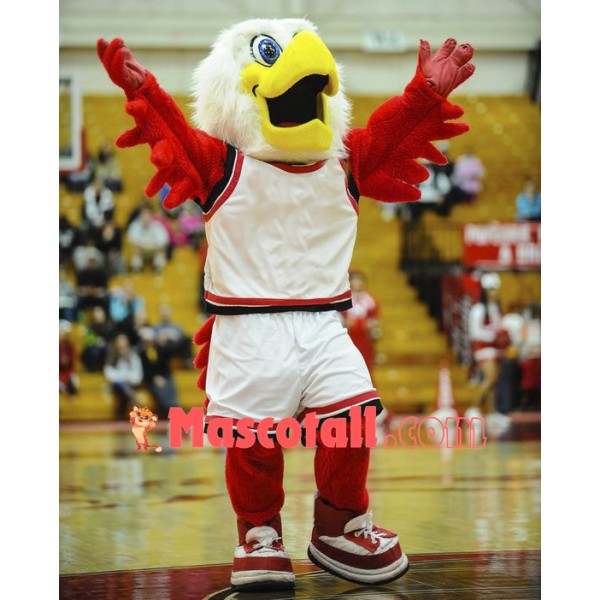 College Hawks Mascot Costume