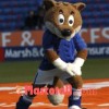Adult Football Fox Mascot Costume