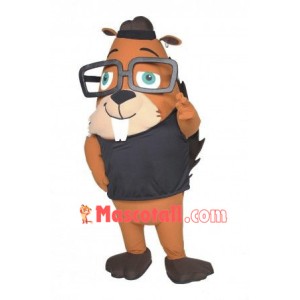 Cute Lightweight  Squirrel Mascot Costume
