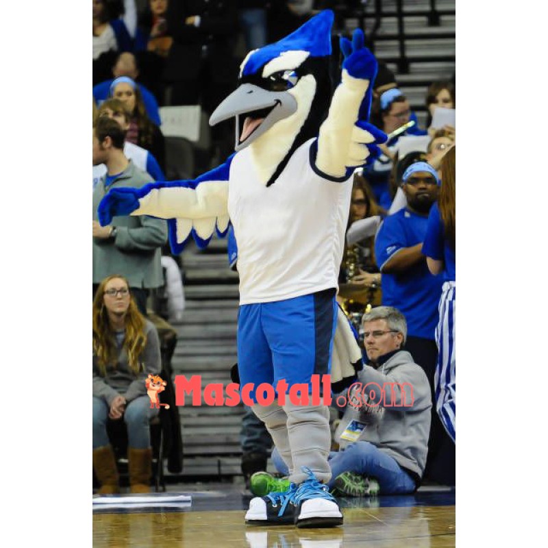Sport Blue & Black Bird Mascot Costume