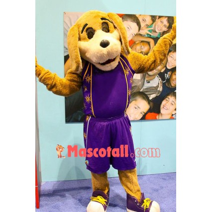 College Sport Dog Mascot Costume