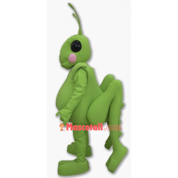 High Quality Grasshopper Mascot Costume