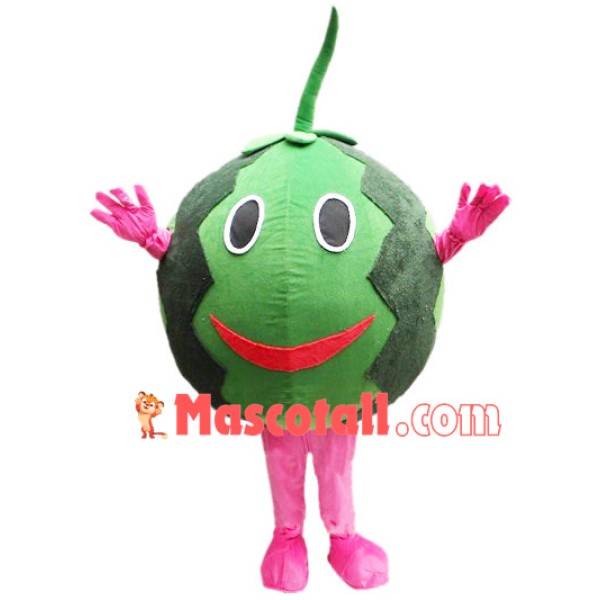 Thin-skinned Watermelon Mascot Costume