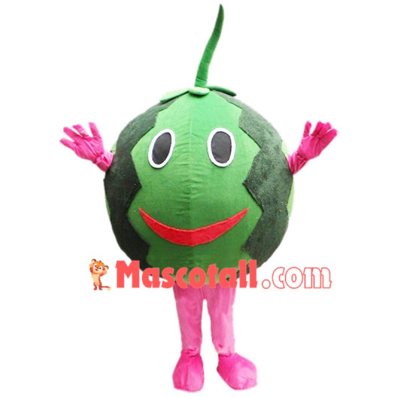 Thin-skinned Watermelon Mascot Costume
