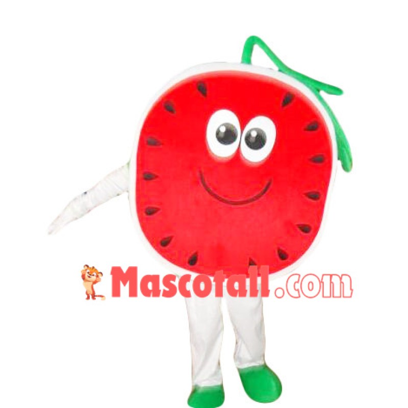 Cut Open Half Of Watermelon Mascot Costume