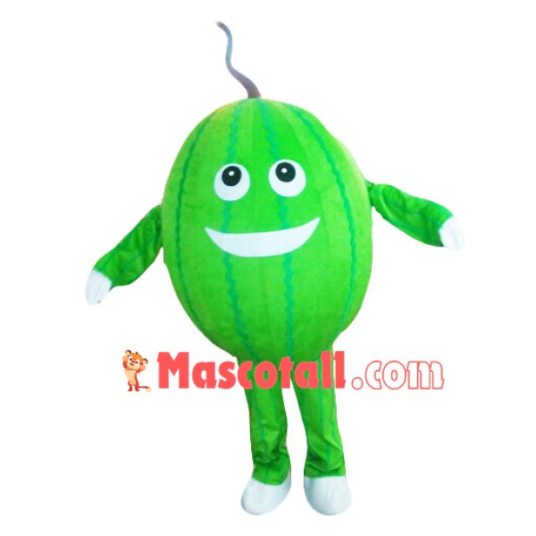 Emerald Watermelon Cartoon Mascot Costume