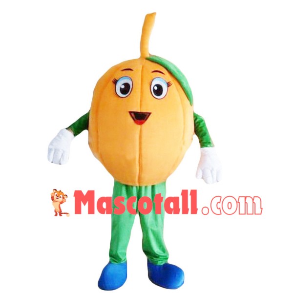 Loquat Fruit Mascot Costume