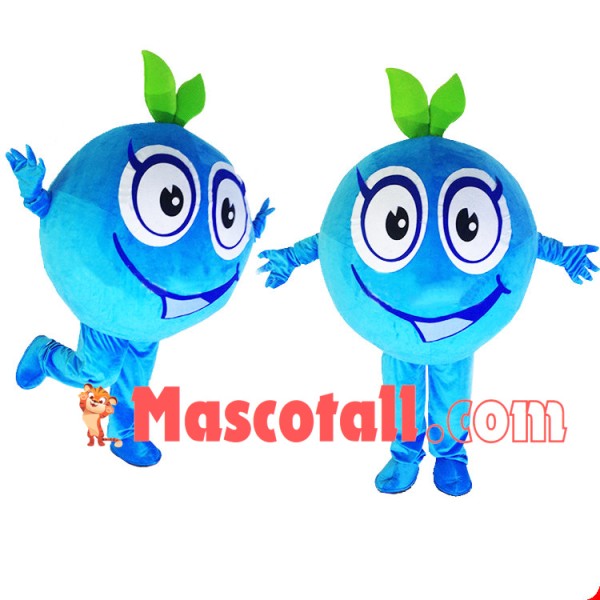 Big Eyes Cartoon Blueberry Mascot Costume