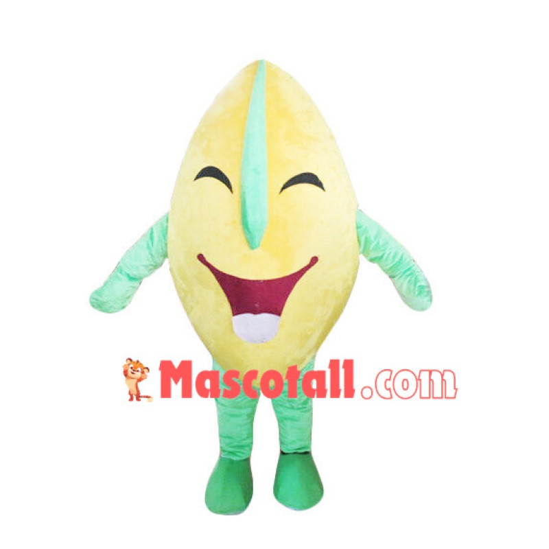 Hard Nut Mascot Cartoon Costume