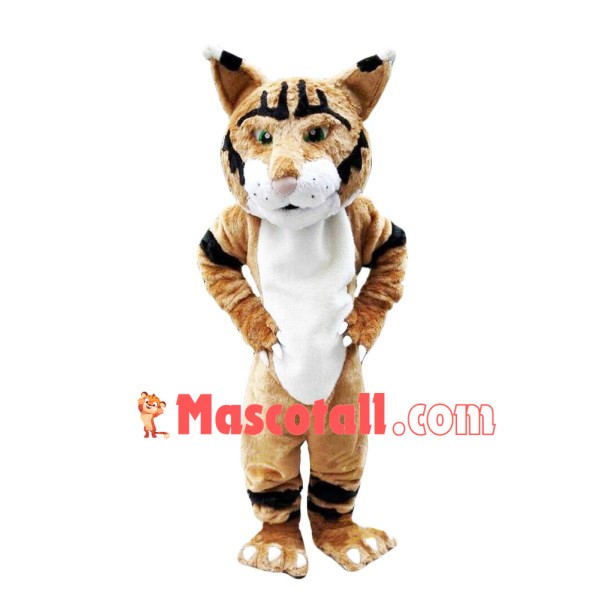 Scrutinizing Tiger Mascot Costume