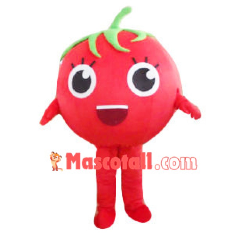 Ripe Tomato Mascot Cartoon Costume