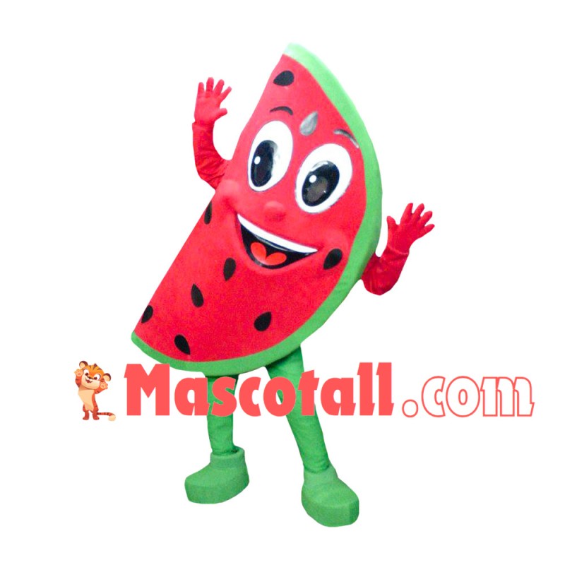 Sweet Piece Of Watermelon Mascot Costume