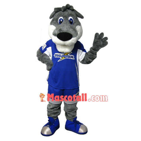 NBA Thunder Tiger Mascot Costume