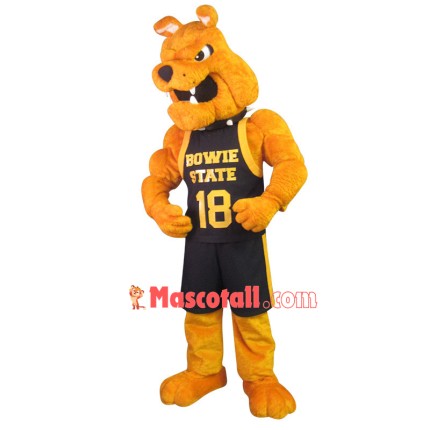 Muscular Bulldog Mascot Costume Of University