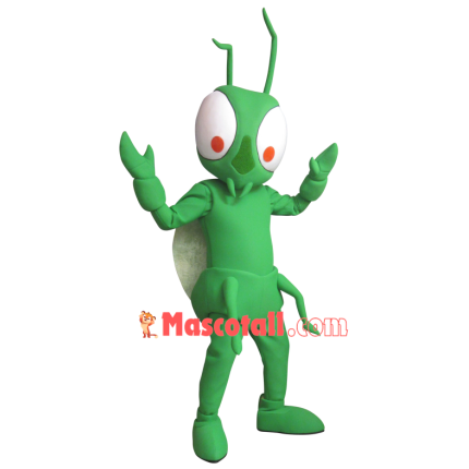Green Customized Beetle Mascot Costume