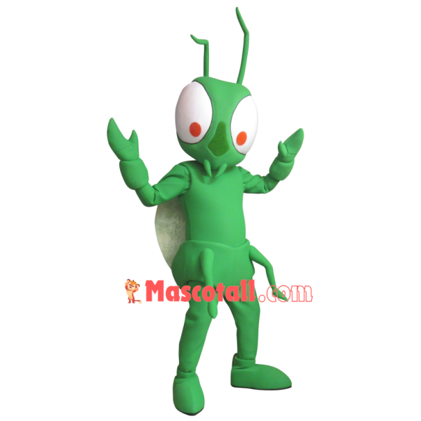 Green Customized Beetle Mascot Costume