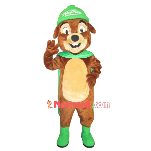 Squirrel Of Grassland Environmental Protection Association Mascot Costume
