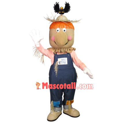 The Eye-catching Scarecrow Guarding The Farmland Mascot Costume