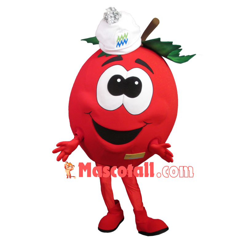 Red Haw With Knitted Hat Mascot Costume