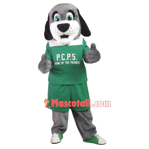 Gray Dog of The Patriot School Mascot Costume