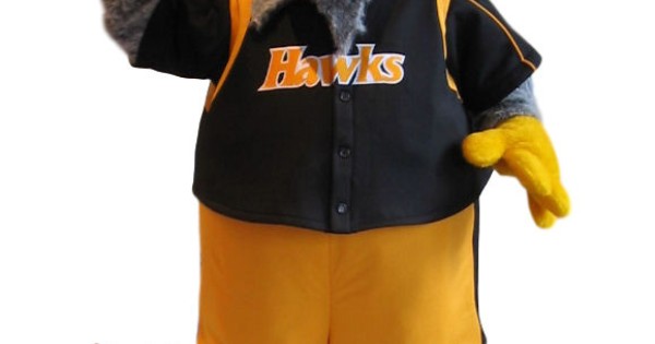 Grey Plush Hawk With Blue Eyes Mascot Costume