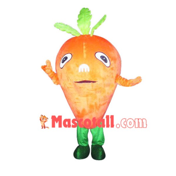 Triangle Carrot Cartoon Mascot Costume
