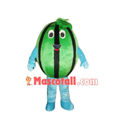 Cartoon Watermelon Mascot Costume