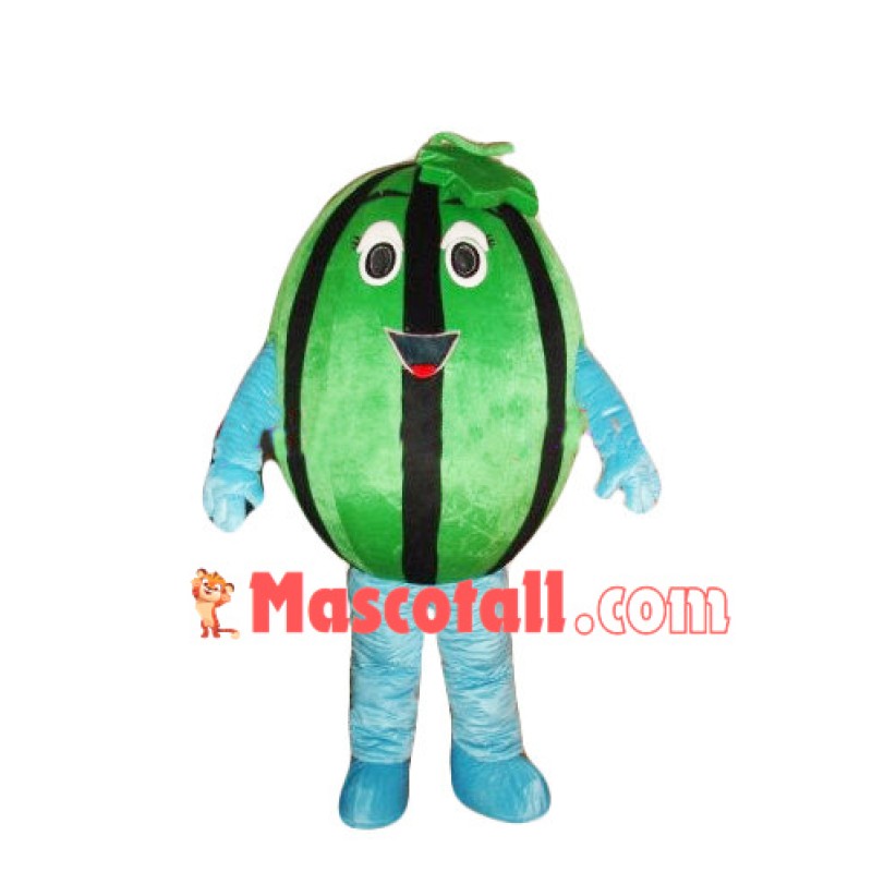 Cartoon Watermelon Mascot Costume