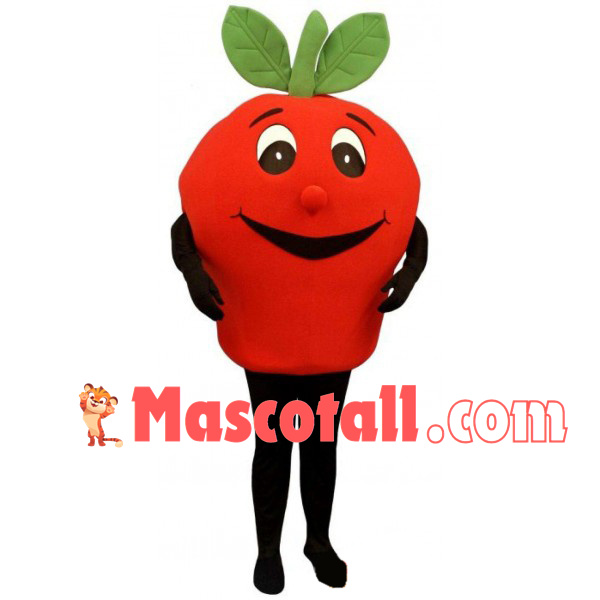 Large Red Apple Cartoon Mascot Costume