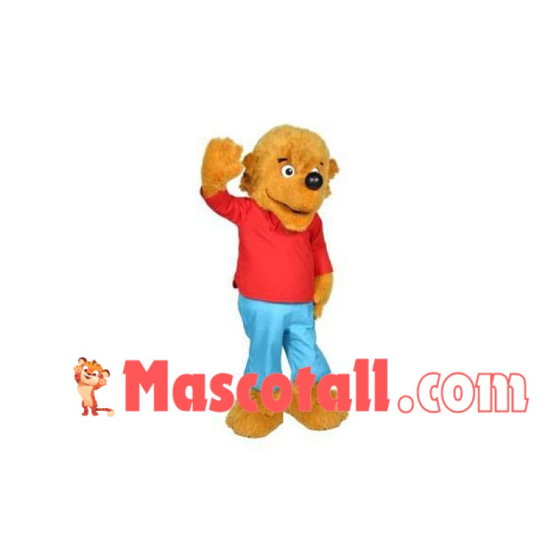 Friendly Little Boy Lion Mascot Costume