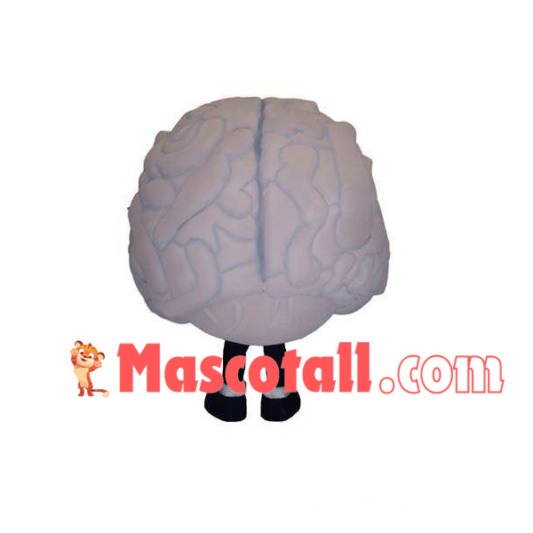 Brain Model Adult Cartoon Mascot Costume