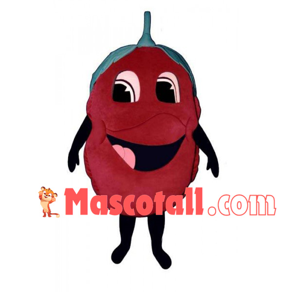 Cartoon Smiley Raspberry Mascot Costume