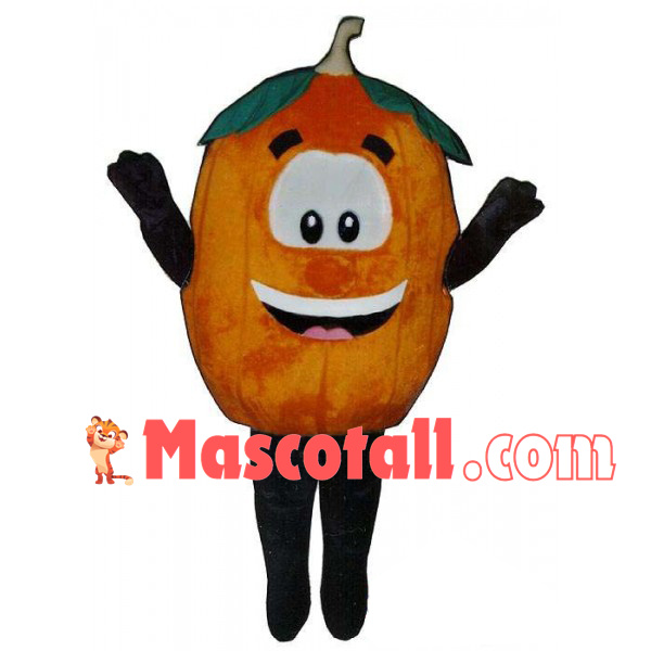 Different Varieties of Orange Mascot Costume