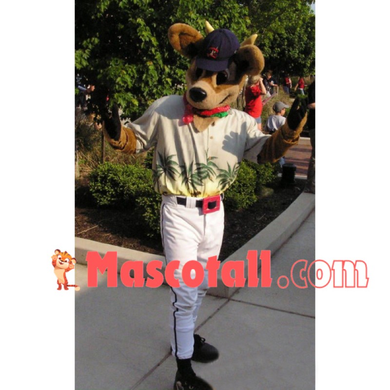 Kangaroo Narrator of Viewpoint Mascot Costume