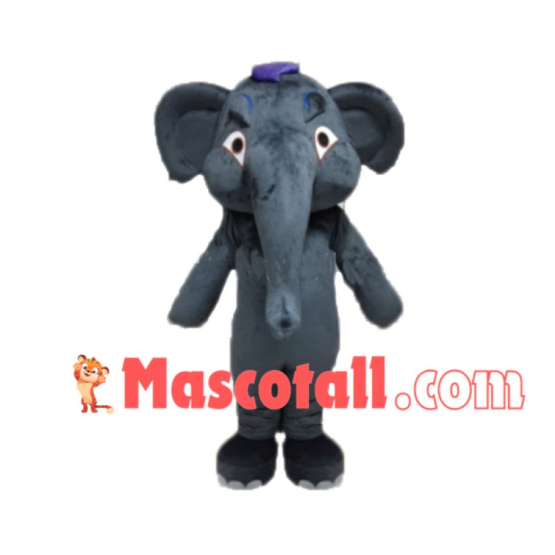 Baby Elephant In Captivity Mascot Costume