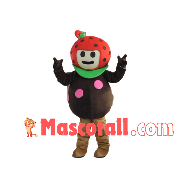 Lovely Cartoon Strawberry Boy Mascot Costume